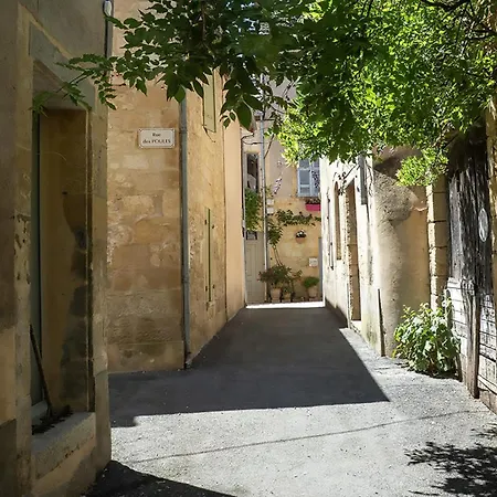 Les De L'atelier A Lascaux مونتيناك